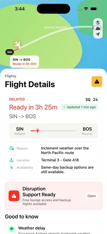 Flight details screen showing the Disruption Support entry point